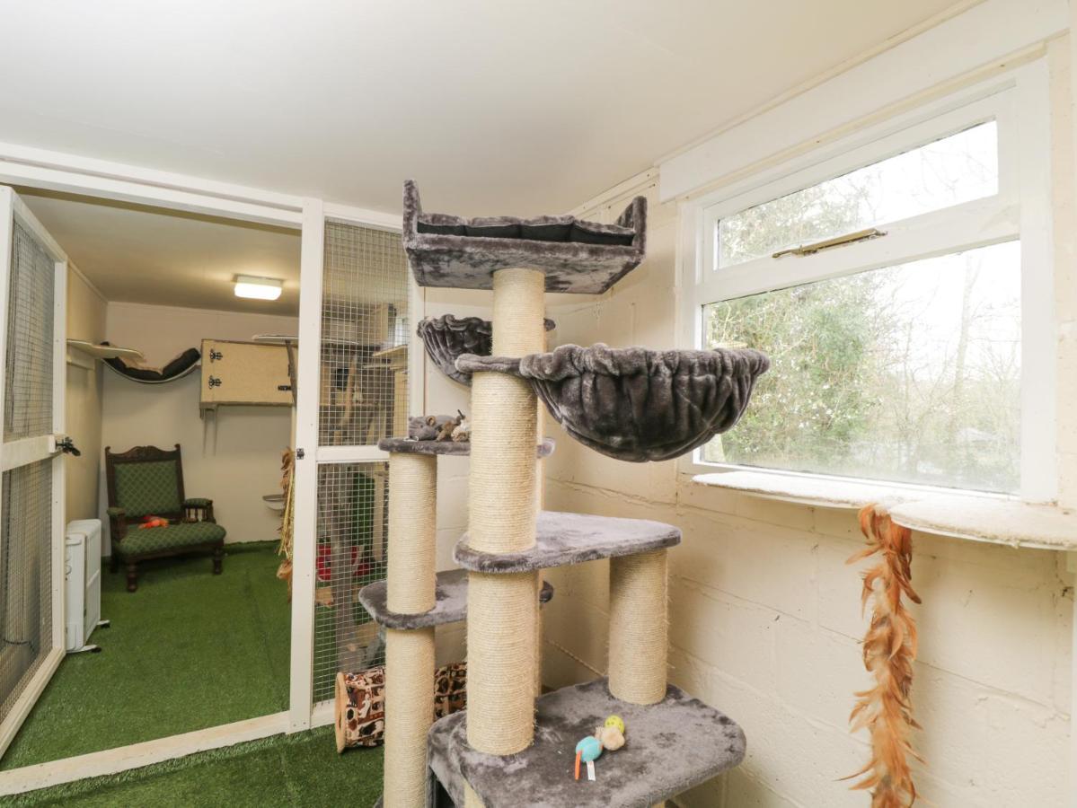 Orchard House Cottage Malmesbury Luaran gambar